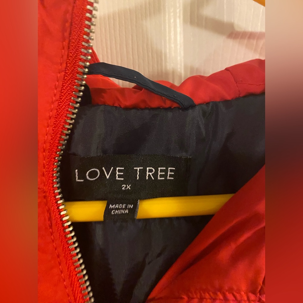 Cute Jacket - Picture 3 of 4
